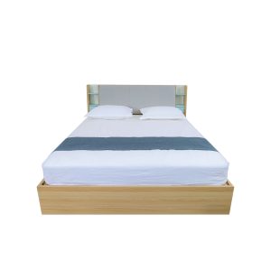 ຕຽງນອນ ລຸ້ນ DZ45-HYDRAULIC BED