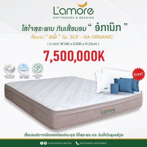 ເສື່ອນອນ L'AMORE ລຸ້ນ 10A-ORGANIC-6Ft